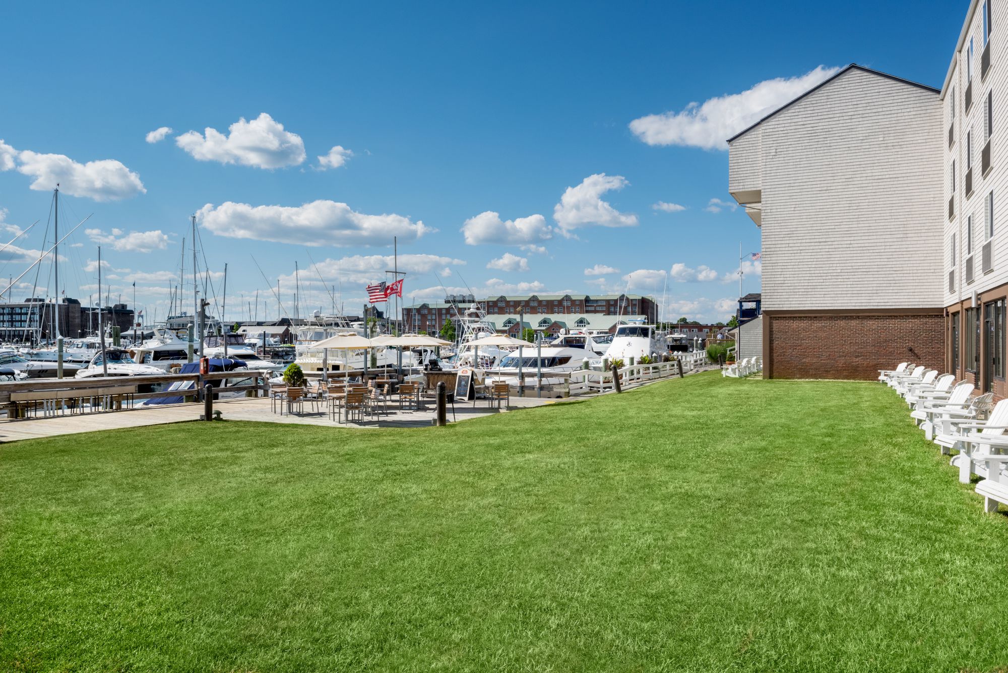 A grassy area leads to a marina with boats docked under a clear blue sky and some fluffy clouds, alongside a modern building.