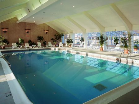 An indoor swimming pool area with lounge chairs and potted plants around it, under a ceiling with skylights, creating a relaxing atmosphere.