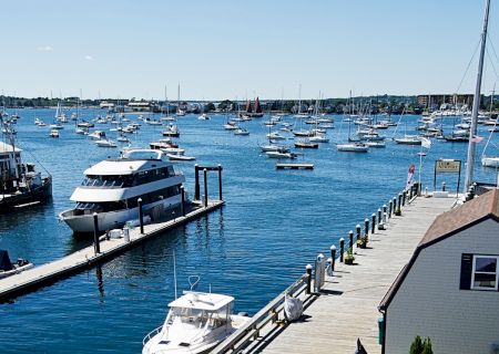 The image shows a marina with numerous boats docked and floating on calm blue water, alongside a wooden pier under clear skies.