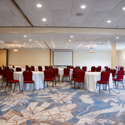 A conference room with round tables, red chairs, a projector screen, and a patterned carpet is visible.