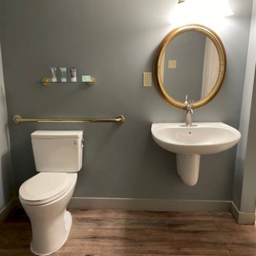 The image shows a bathroom with a toilet, sink, mirror, and towel rack. There are wall-mounted safety bars and toiletries on a shelf.