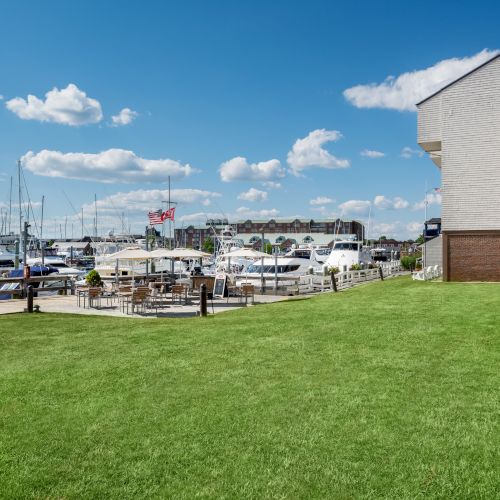 The image shows a marina with boats docked, a grassy area with chairs, and a clear sky with some clouds.